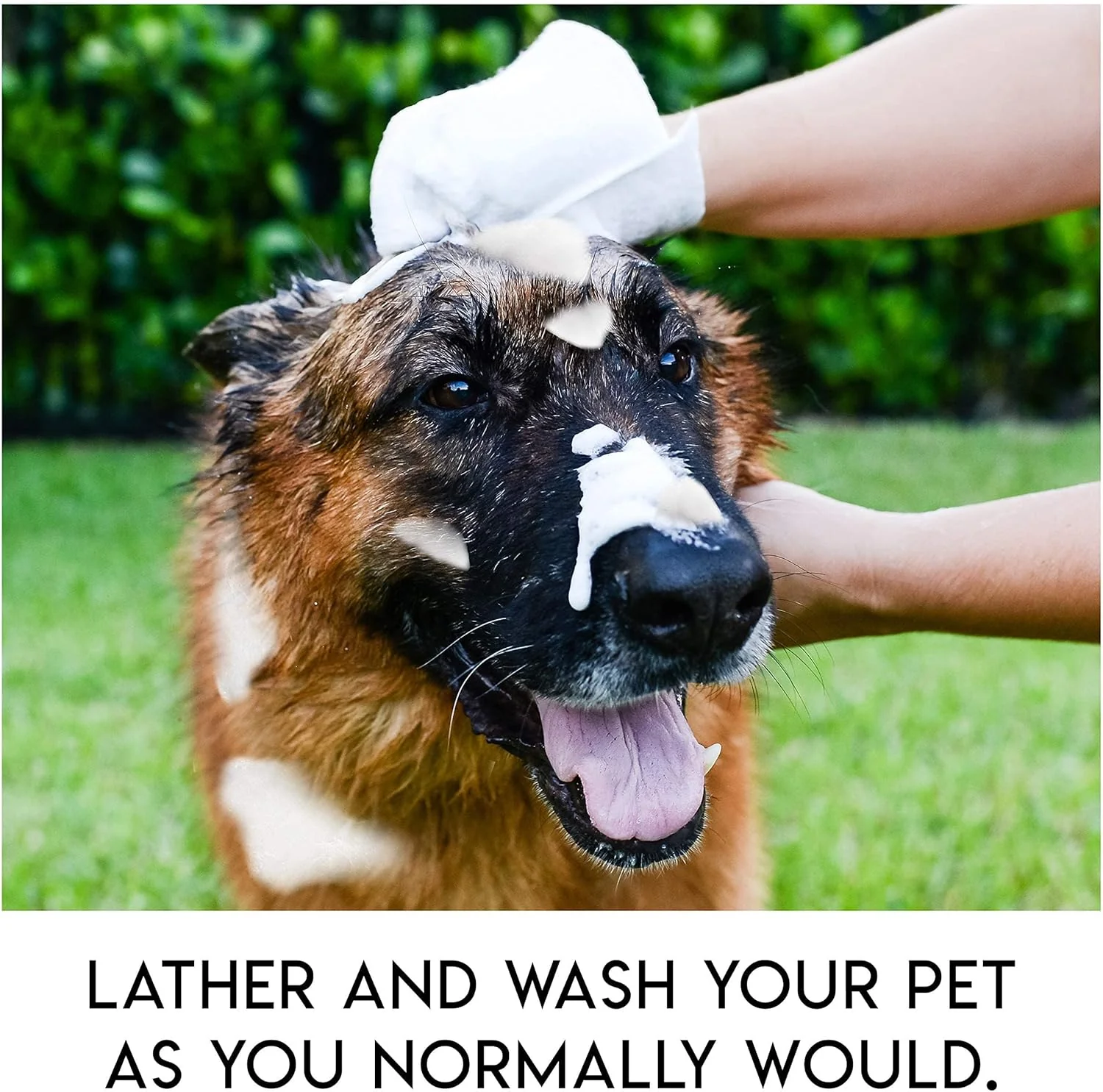 🔥Rinse-Free Dog Shampoo Mitts – Hypoallergenic Pet Bath Wipes, 6 Packs - Image 3