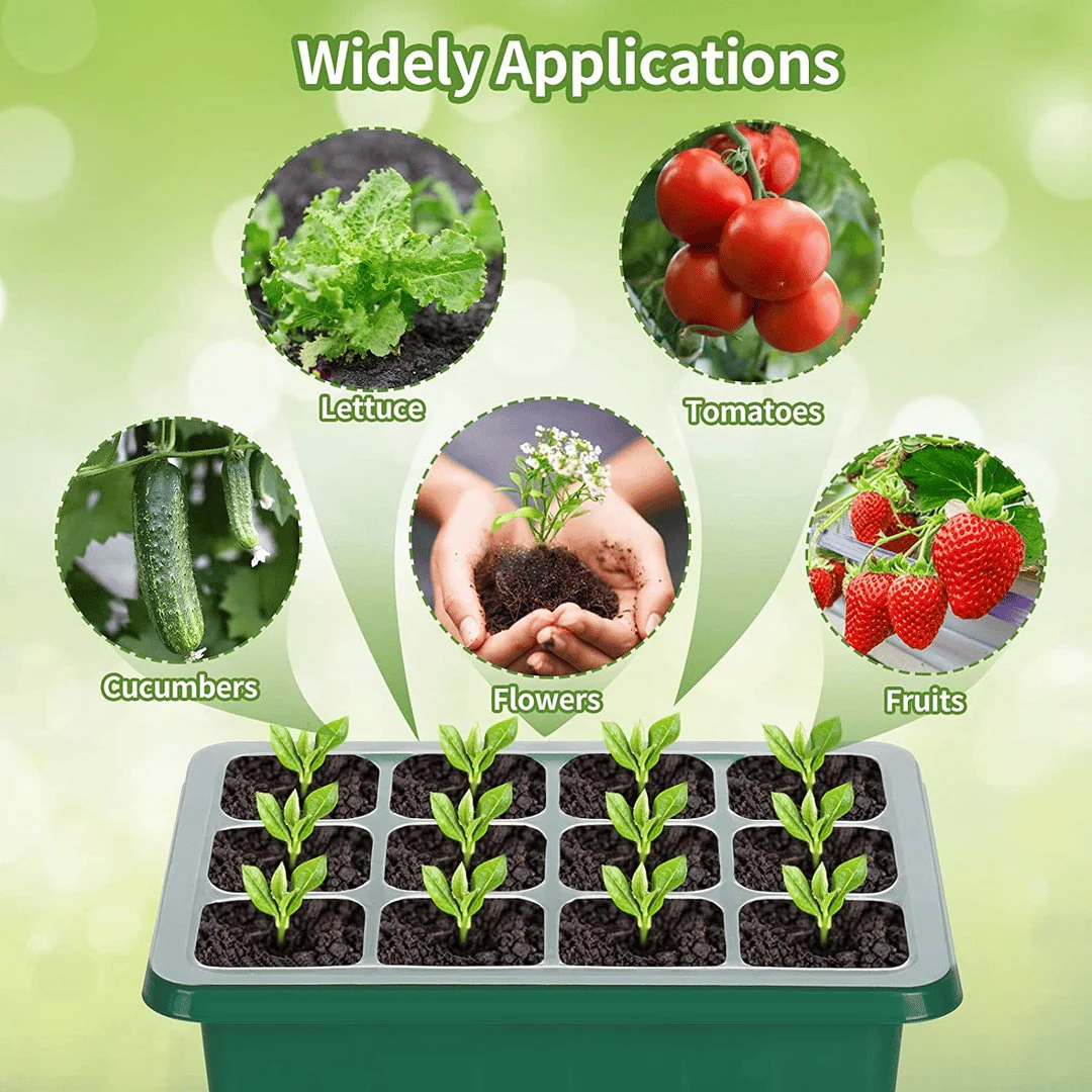 🌱 🎁 Final Day Sale-Adjustable Humidity Seed Starter Trays - Image 4