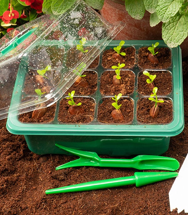 🌱 🎁 Final Day Sale-Adjustable Humidity Seed Starter Trays - Image 5