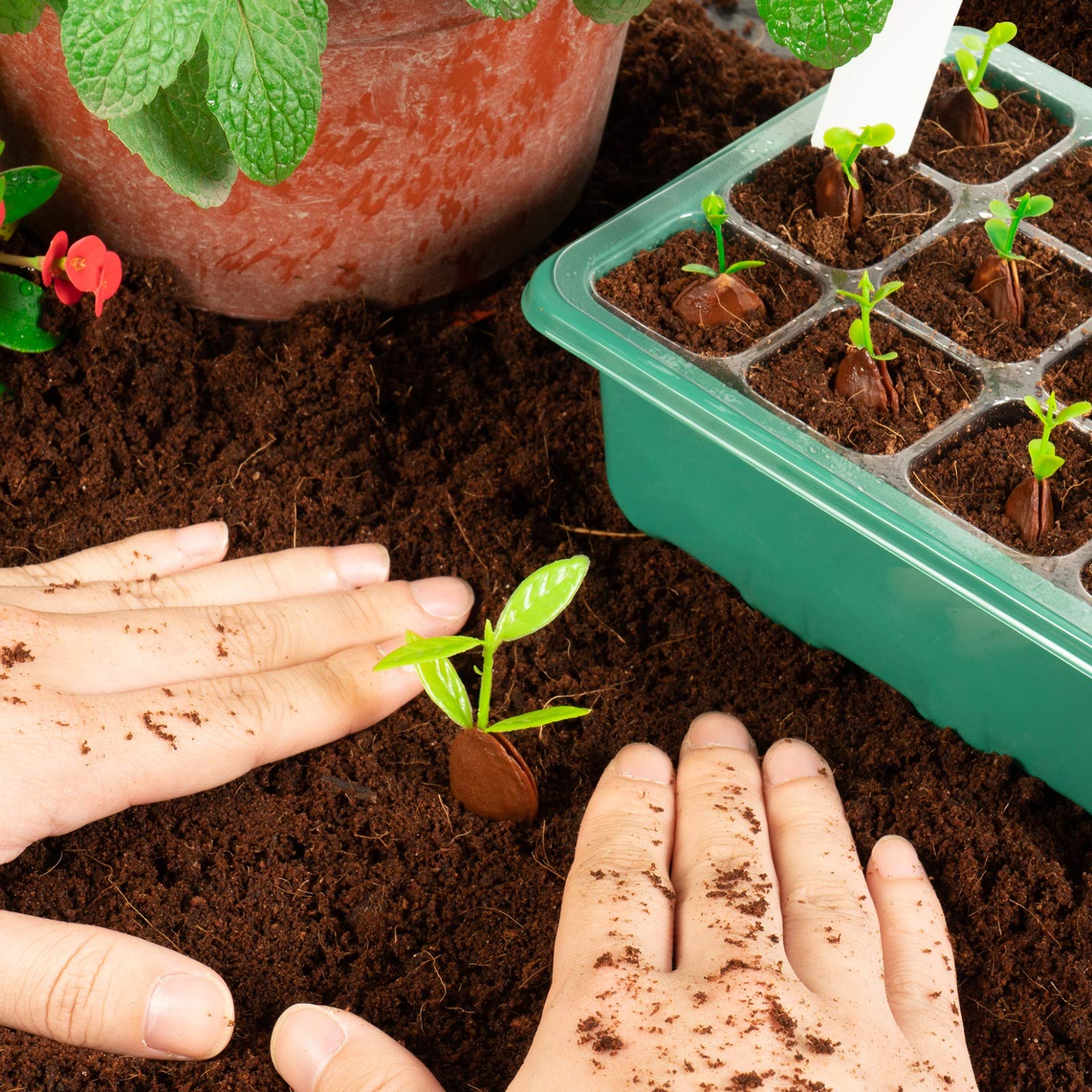 🌱 🎁 Final Day Sale-Adjustable Humidity Seed Starter Trays - Image 6